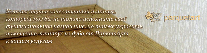 Плинтус из дуба по доступным ценам от ПаркетАрт Плинтус из дуба по доступным ценам от ПаркетАрт